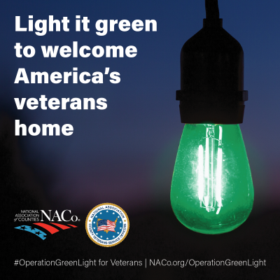 "Light it green to welcome America's Veterans home" with green light bulb